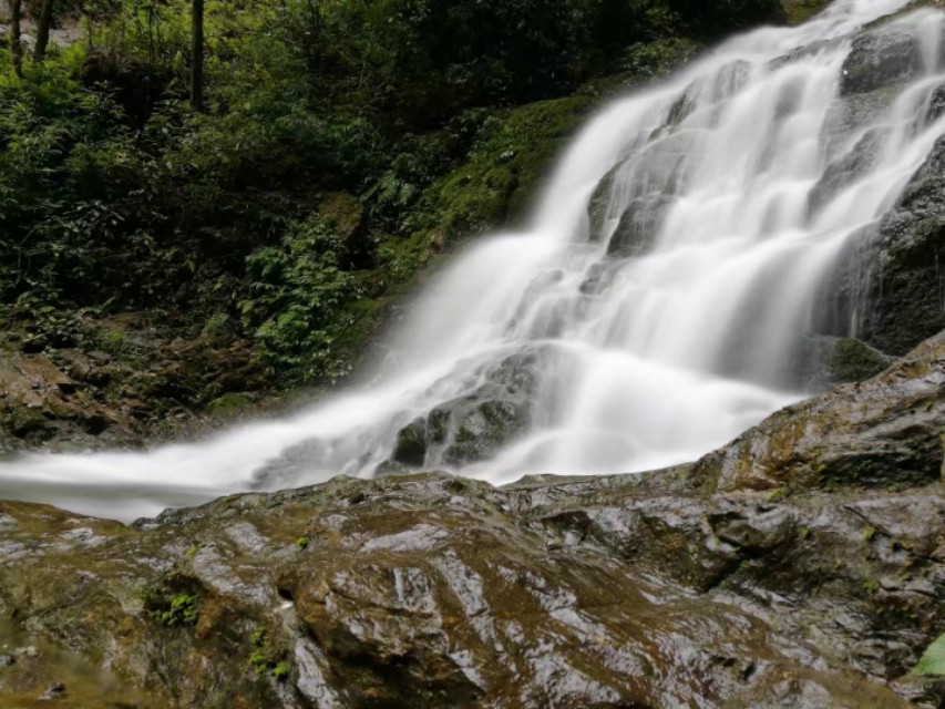 重庆黑山谷避暑适合吗,重庆避暑7天黑山谷