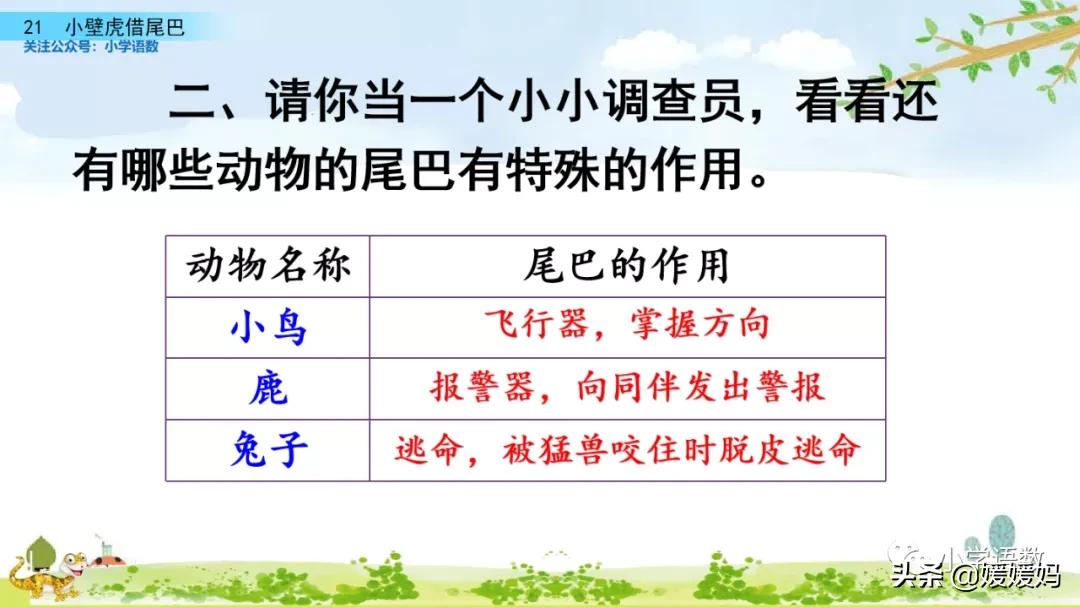 一年级小壁虎借尾巴原文图片,小壁虎借尾巴优质课一等奖