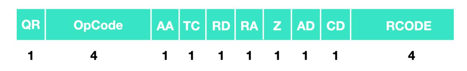 dns协议文档,dns万字长文