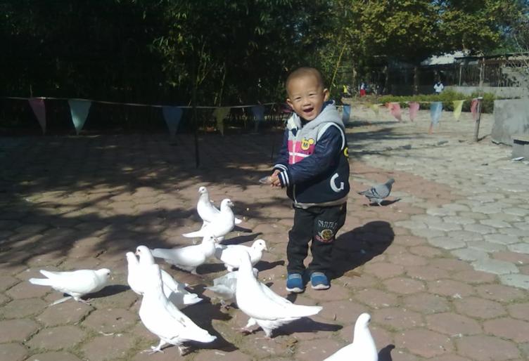 孩子被蚊虫咬了怎么办最有效,儿童被蚊虫叮咬可能引发的疾病