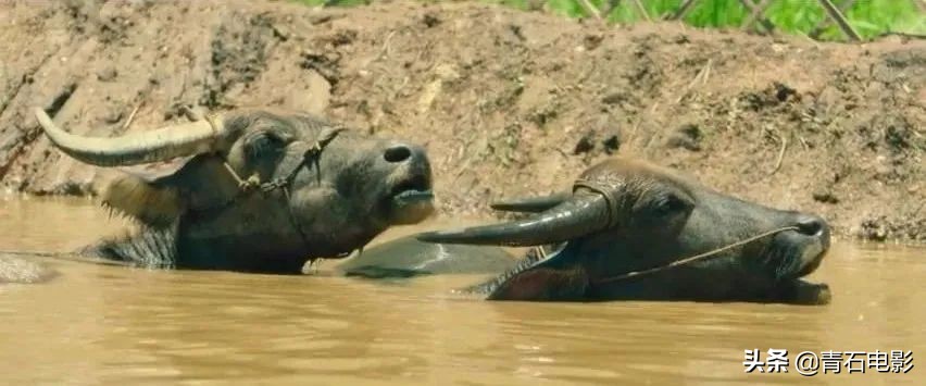 一点就到家电影评价,一点就到家是真实改编的吗