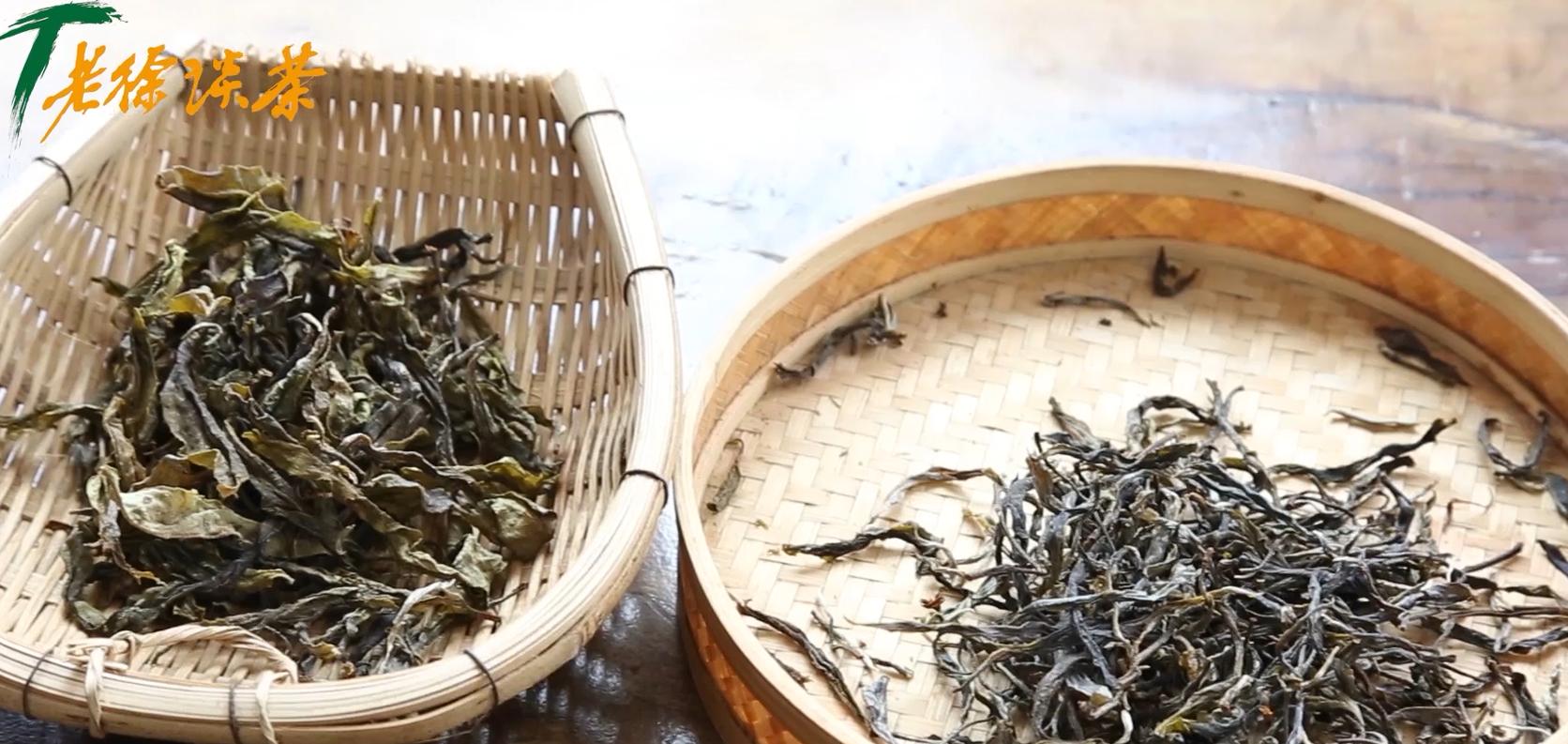 老徐谈茶第十六期,老徐谈茶第九十六期