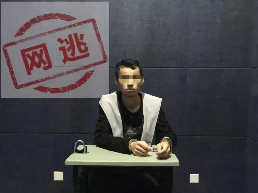 奇葩新闻大全爆笑合集,各种奇葩新闻笑死人