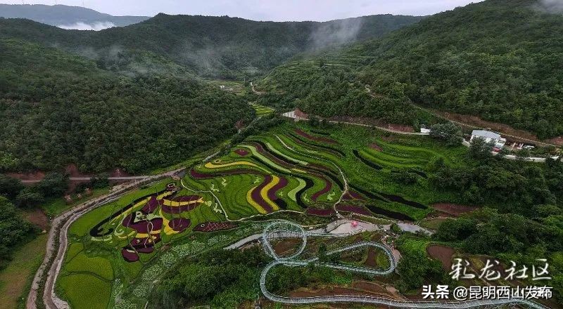 昆明近郊核桃箐村,核桃箐七彩稻田航拍
