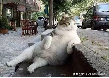 高中政治解题技巧,高中政治选择题解题技巧