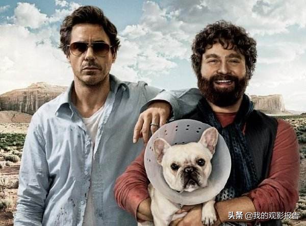 国外喜剧电影大全免费,沙雕无厘头喜剧电影