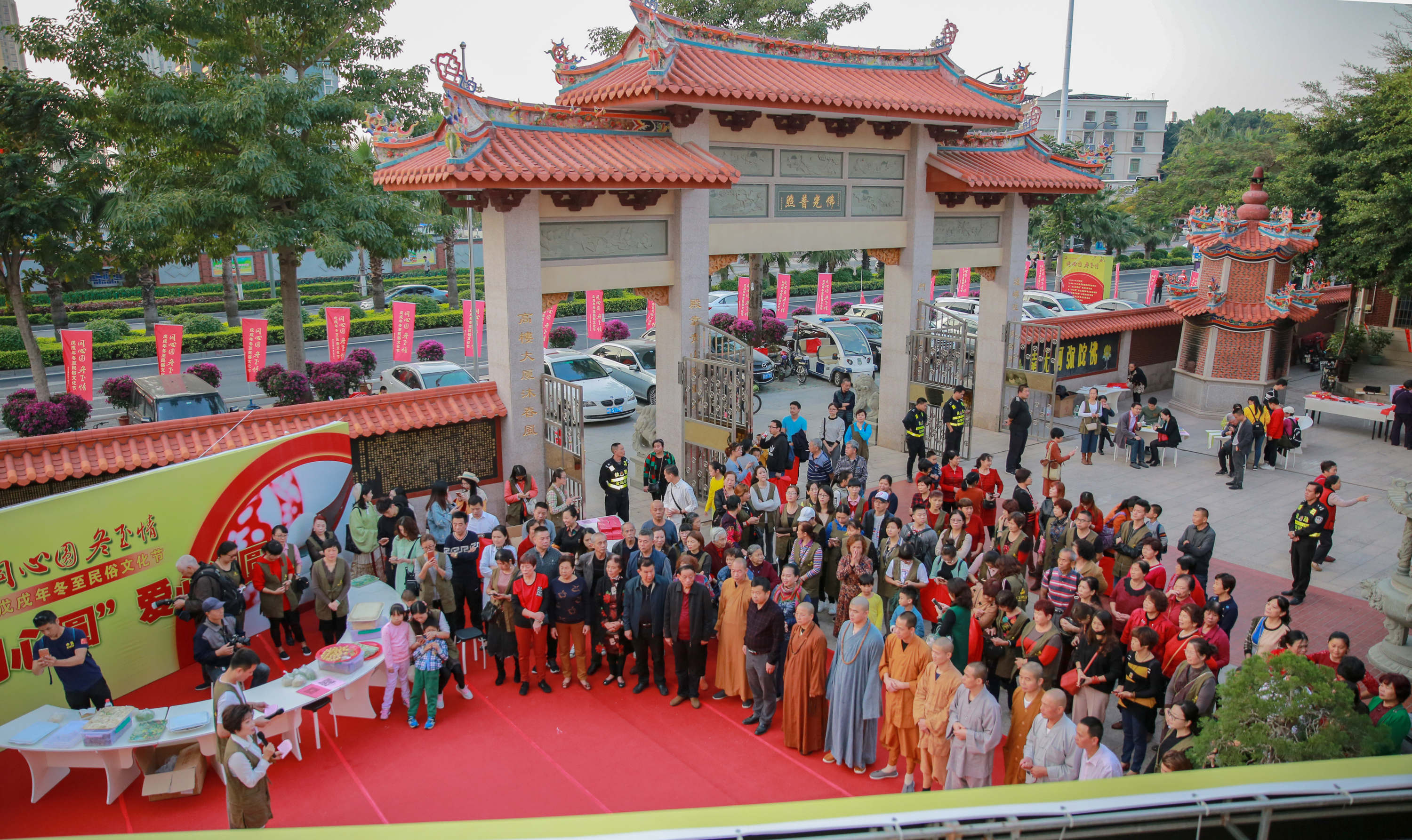 三角梅爆花盆景,三角梅巨桩盆景