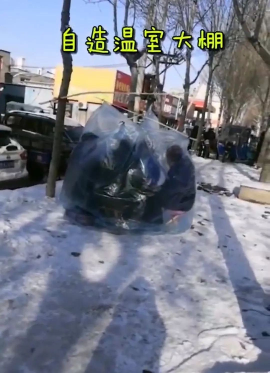 炸天!辽宁大爷大妈雪地里搭塑料棚打扑克火遍全网,还上了@人民日报