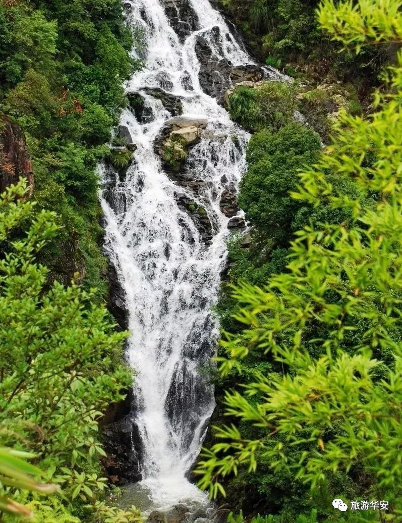 春风十里不如你,我在华安等着您