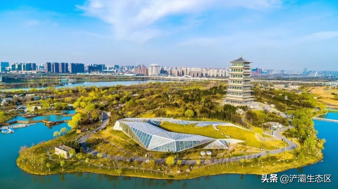 家门口的好学校(八):西安市浐灞实验小学“名校+”教育联合体