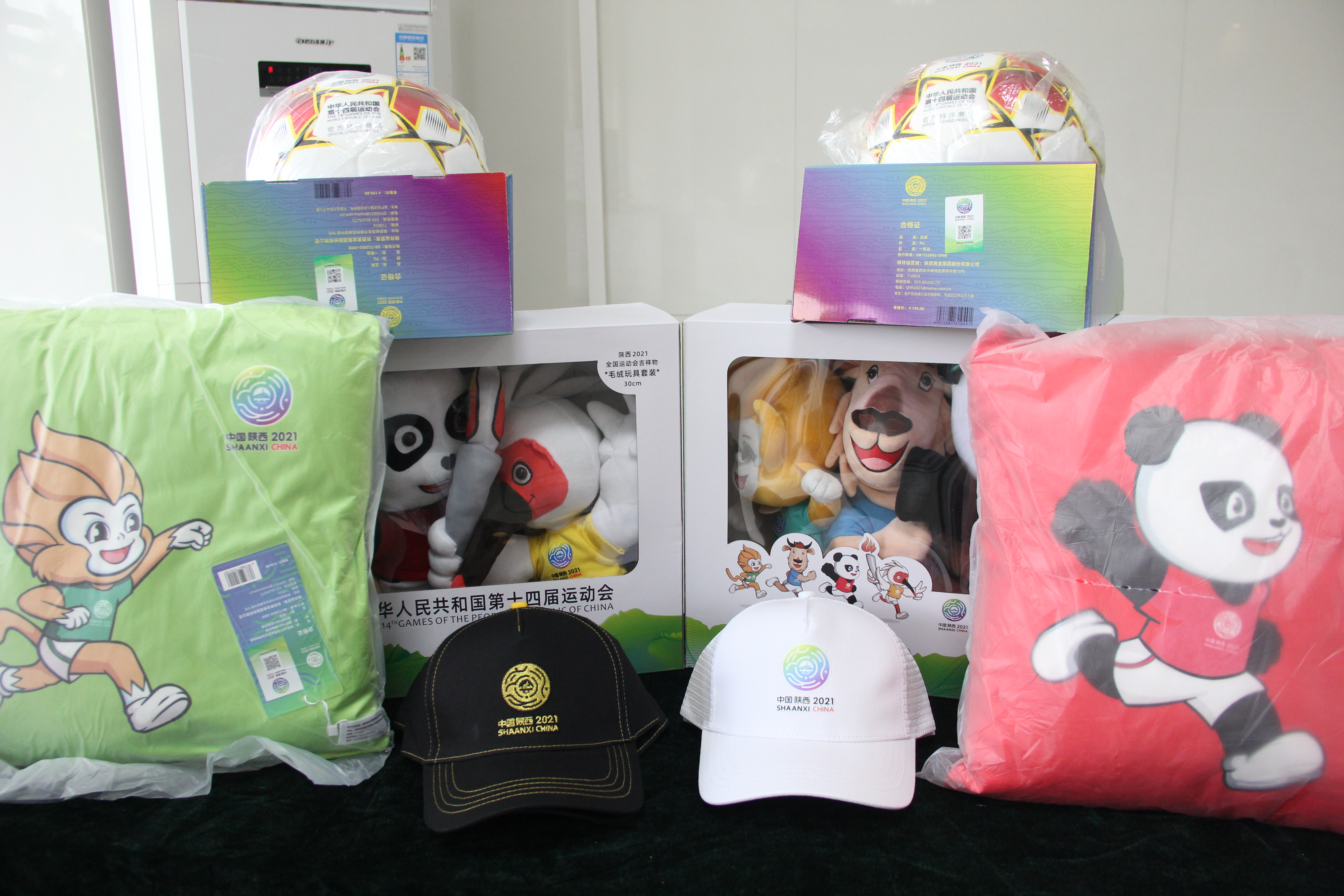 汉中十四届全运会,陕西十四届全运会门票