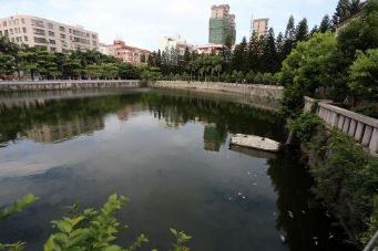 10岁孩子浑身起红点,10岁孩子身上起红点怎么回事