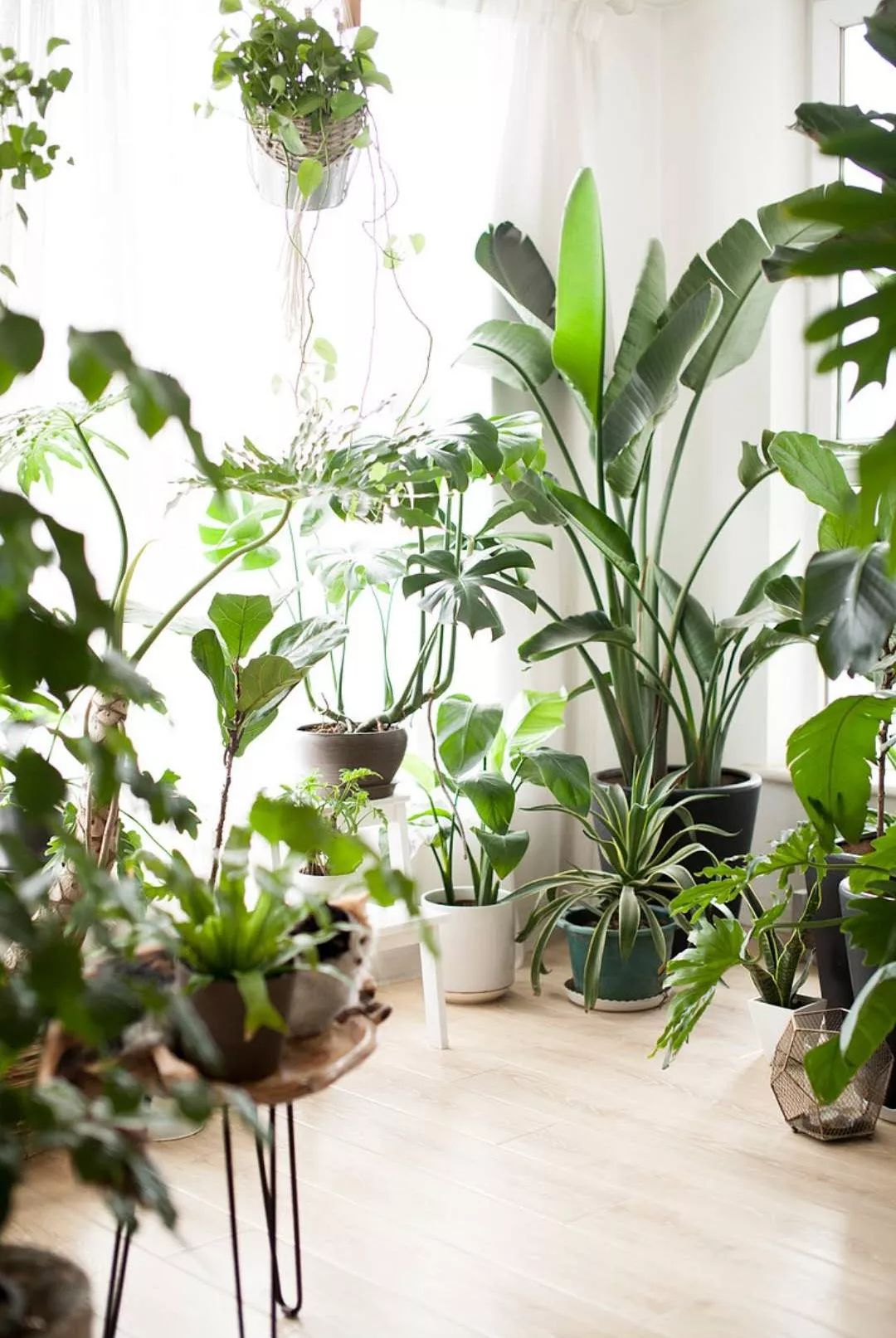 小夫妻98㎡家意外走红！登北京地铁广告，这个家才是都市里的奢侈