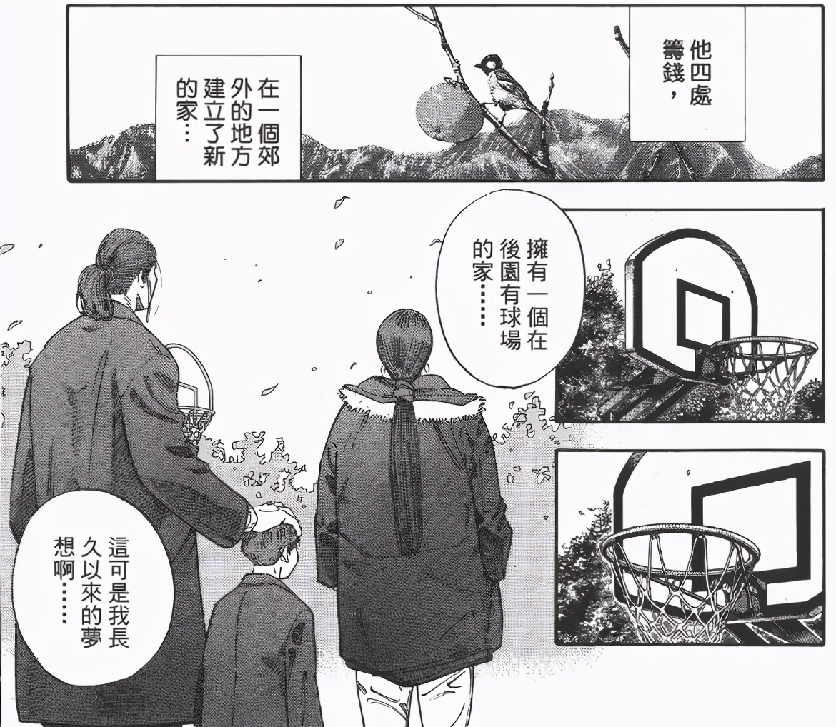 鸡娃的路上任重道远,鸡娃的梦想是什么