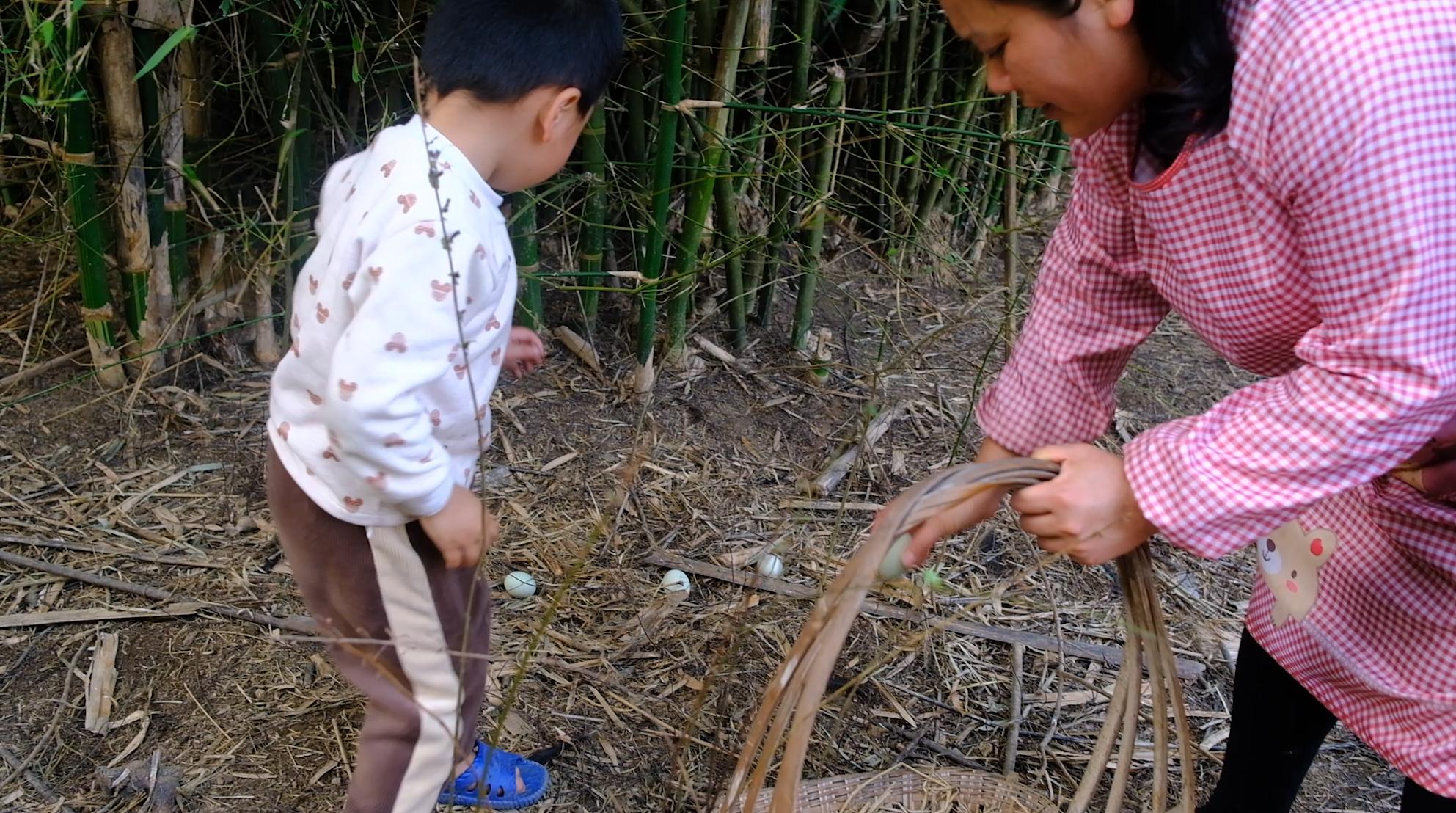 卖完公鸡留母鸡生蛋，不按斤按盒卖70-100块，居然收入千万