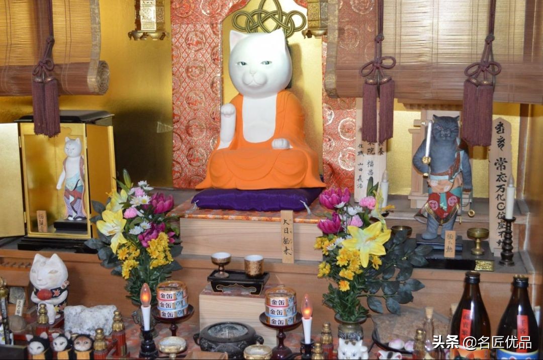 20岁少年建“猫猫寺”,和尚住持全是猫咪,网友:不敢撸不敢吸