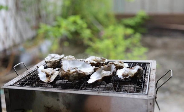 凯度r8与凯度h8的区别,凯度蒸烤箱r8使用教程