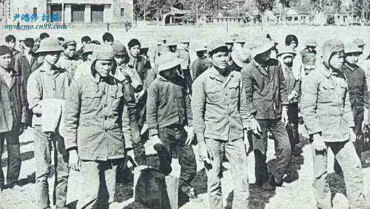 对越反击战抓俘真实视频,对越反击战我军被俘虏多少人