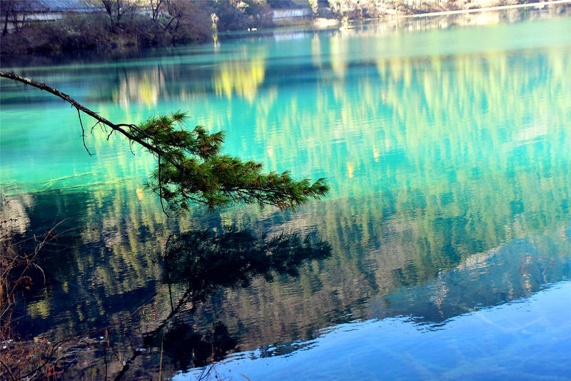 置身于童话中的九寨沟,畅游人间仙境黄龙九寨沟七日游