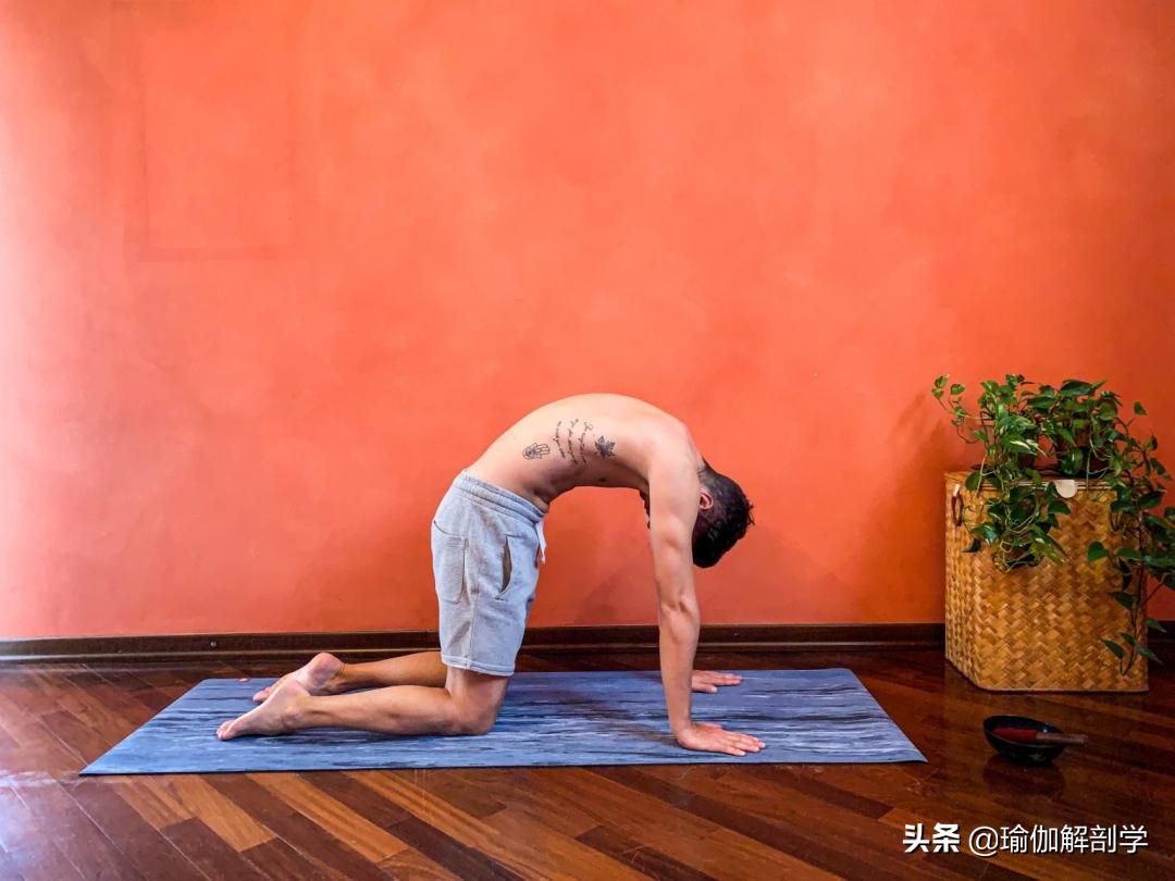 男士初学瑜伽从零开始,男士练瑜伽的最佳方法