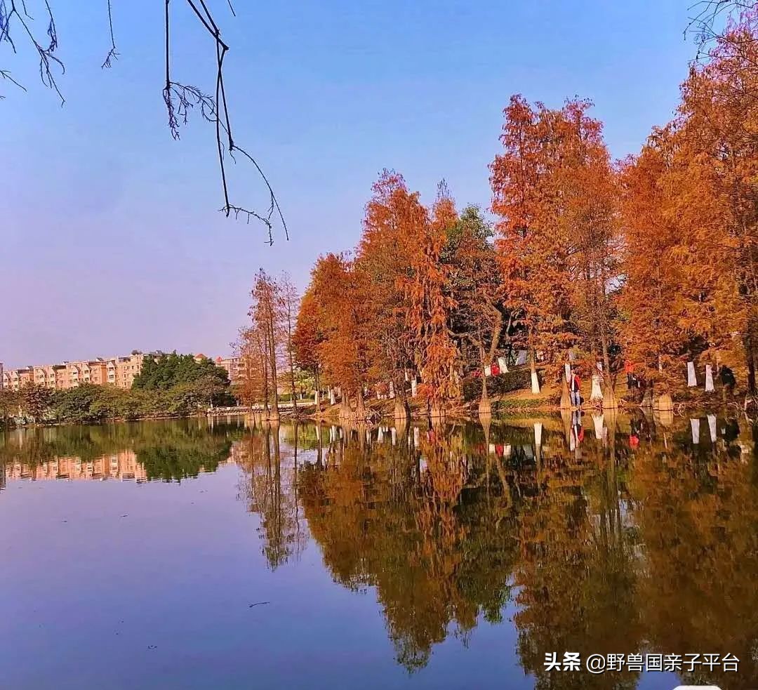 广州遛娃出游,广州遛娃3-4天攻略