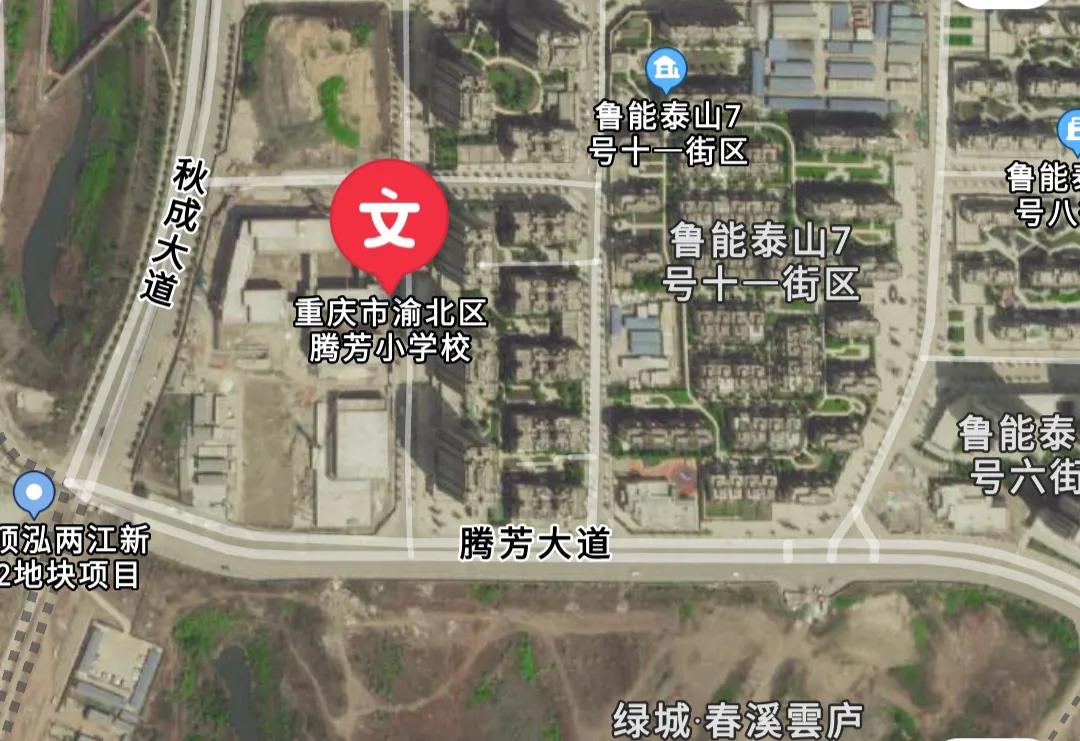 重庆中央公园配套学校,重庆中央公园南的学校