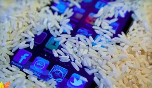 手机受潮能用吹风机吹吗,手机受潮声音小怎么办