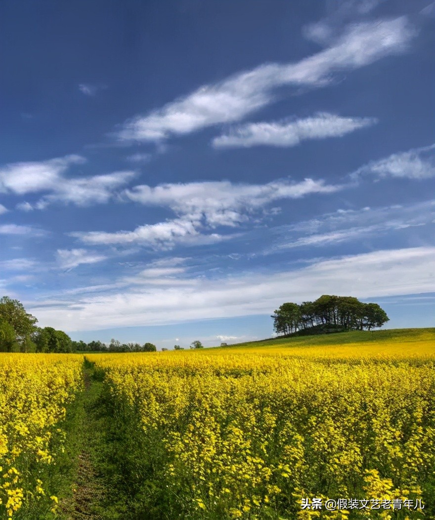 棣欐硥鍏堢敓璇楁瓕,棣欐硥鍏堢敓