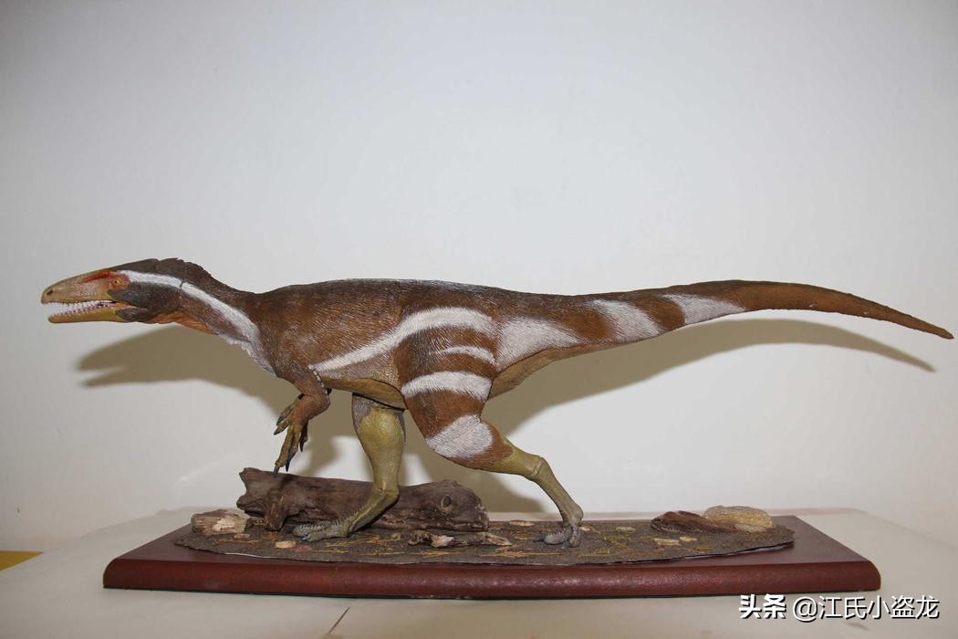 古生物时代有多少种恐龙,人类已经发现了多少恐龙种类