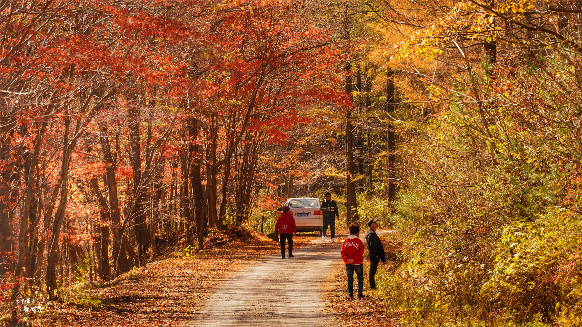 本溪关门山看枫叶最佳游览路线,本溪红叶层林尽染自驾游攻略