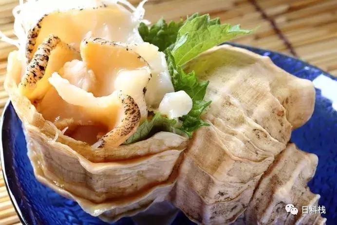 峨螺是什么,厚重峨螺