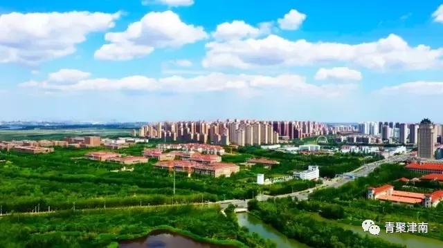 是什么让越来越多的年轻人爱上津南，留在津南！