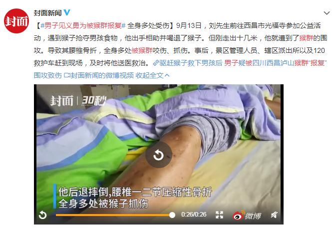 男子见义勇为被猴群殴,男子被猴群报复