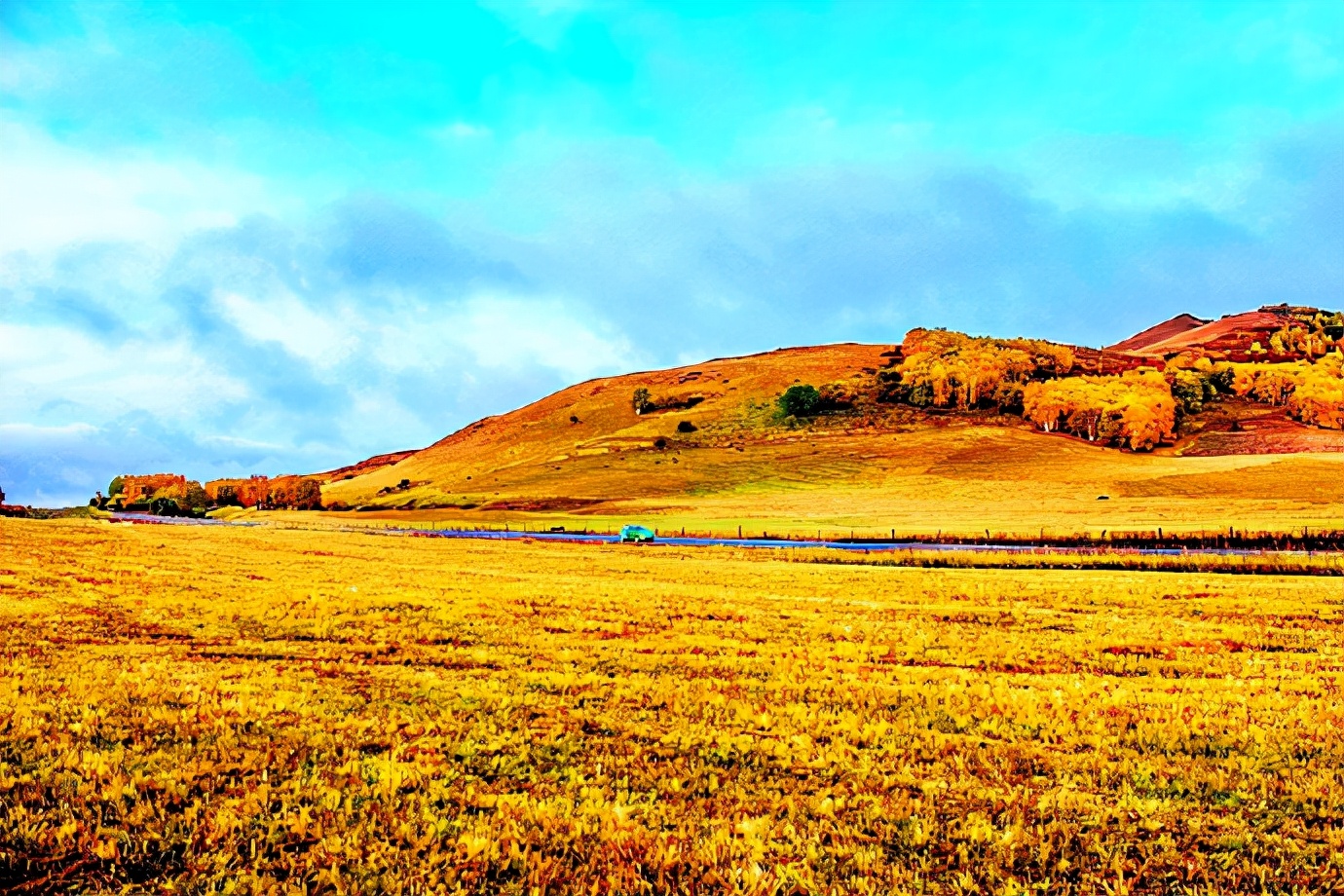 秋季最美的白桦林风景,坝上草原白桦林秋色图片