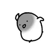 美国大学最新信息,美国大学最新招生政策