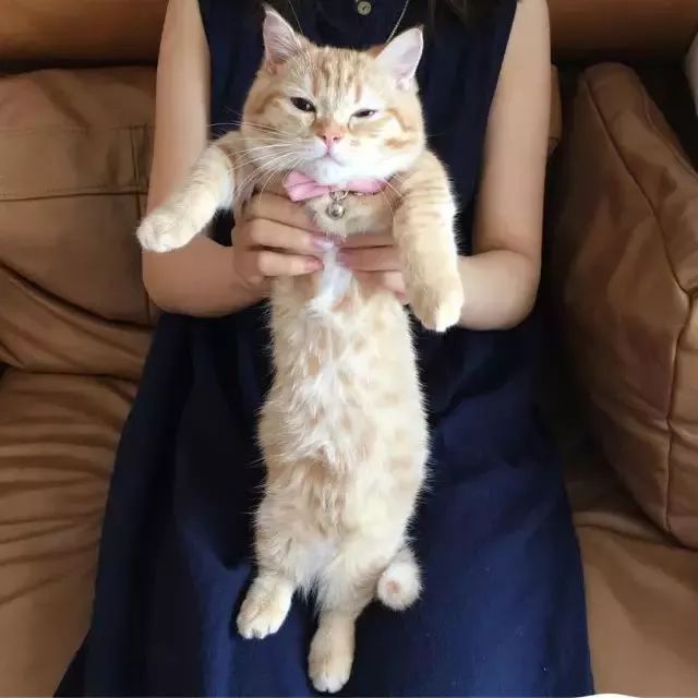 “不行了，我血槽已空，这么萌是怎么长得呢！？”