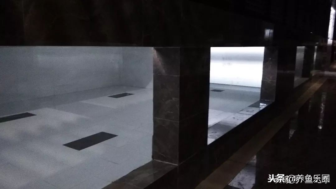 这位土豪家的渔场，光滤材就花了500多万，你确定不要见识一下？