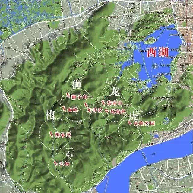 龙井哪里茶最正宗,龙井醉美山水茶