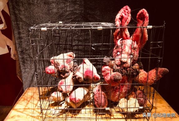 带你发现上海超治愈打卡地,上海人不会推荐的地方