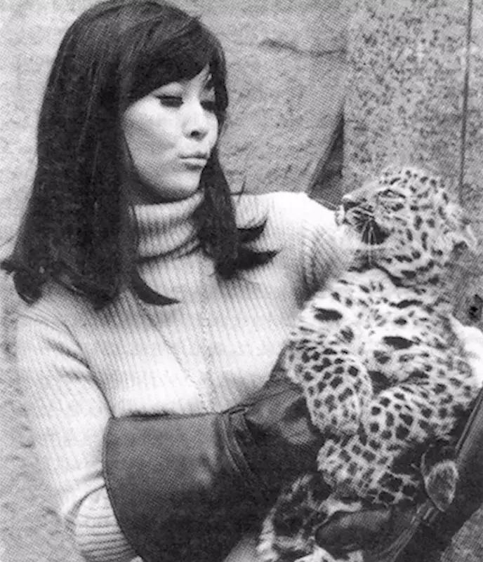 好莱坞华人教母,好莱坞教母