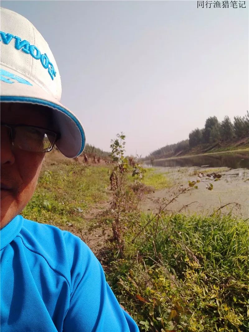 2019钓鲫鱼视频全集,钓鲫鱼的笔记