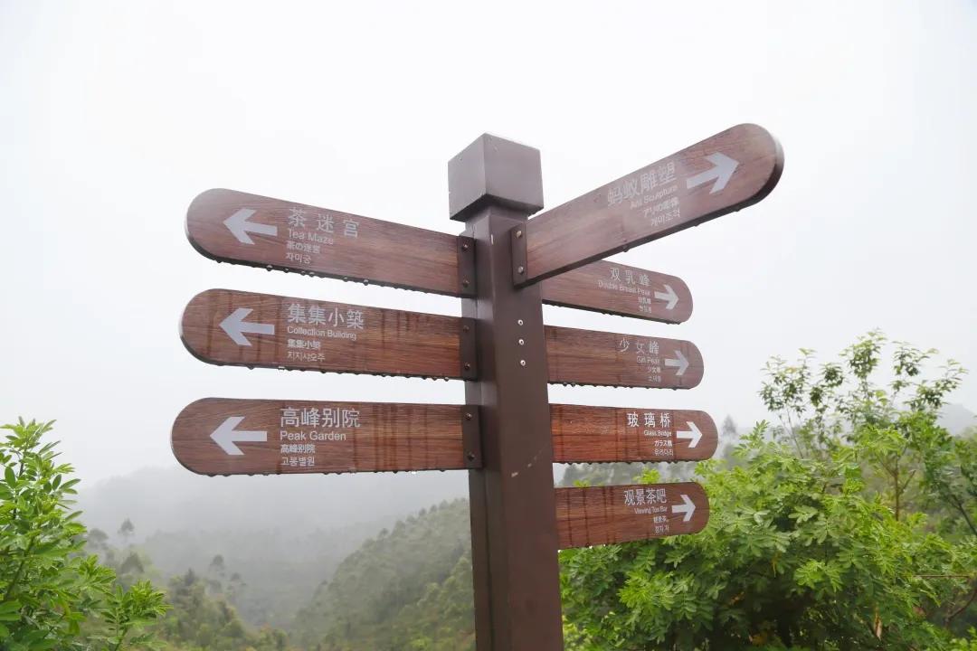 福建人游福建|厦航国旅首发团，邀您一起共赏好*光春**