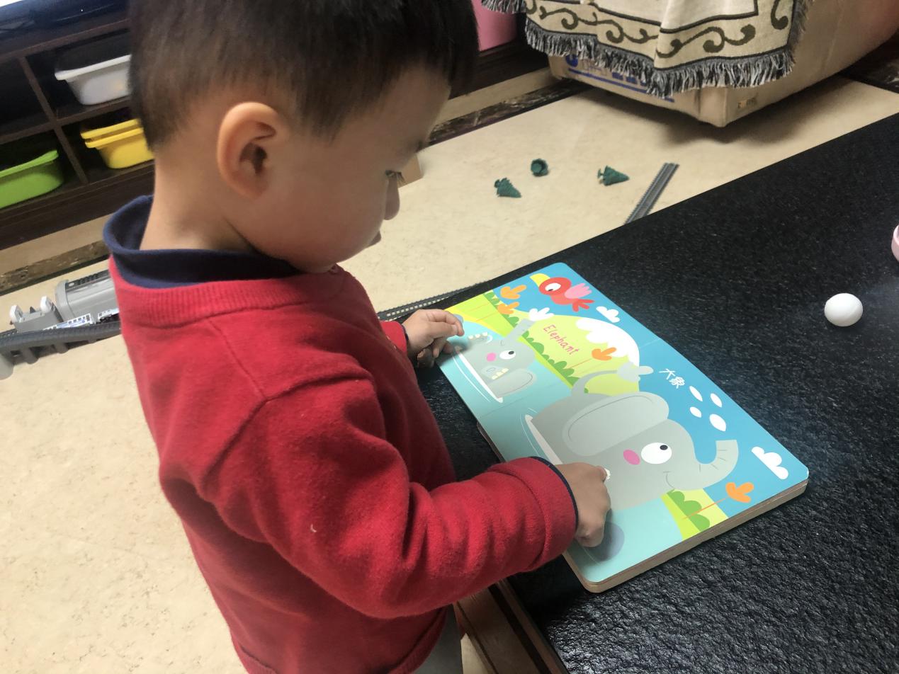 宝宝听觉敏感期，丰富声音体验很重要，会唱歌绘本给娃磨耳朵