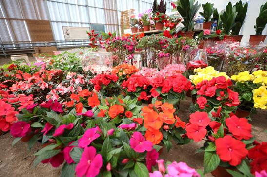 五一长假去哪里旅游推荐,五一小长假旅游指南