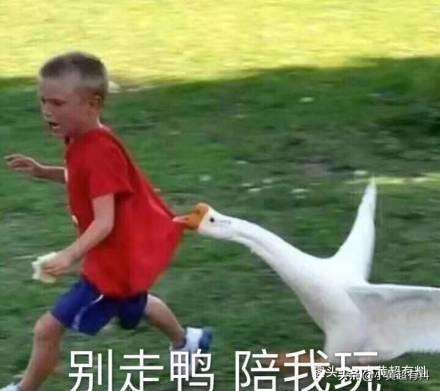 世界级搞笑脑筋急转弯笑到肚子疼,高智商脑筋急转弯搞笑版