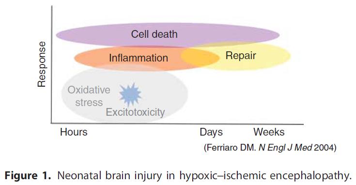 脐带血干细胞治疗肝硬化最新消息,脐带血可以治疗缺氧缺血性脑病嘛