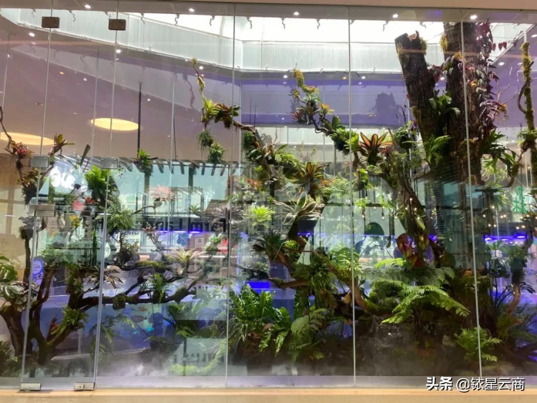 城市微度假商业如何打造,微度假商业综合体