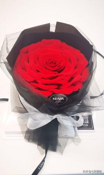 上海最好吃的蛋糕店排名,上海哪家蛋糕店的生日蛋糕好吃