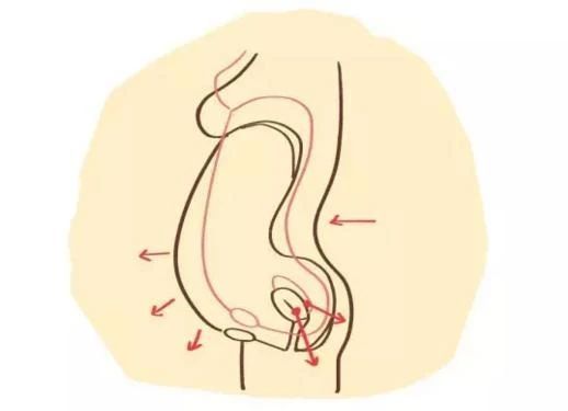 剖腹产用盆底修复多少钱,剖腹产后盆底肌修复有必要做吗