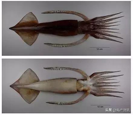 硬核科普全部,硬核科普大全视频